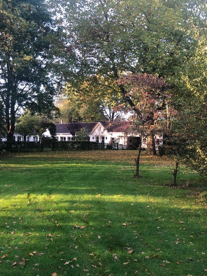 Villa Timeout-Breda Esterno foto